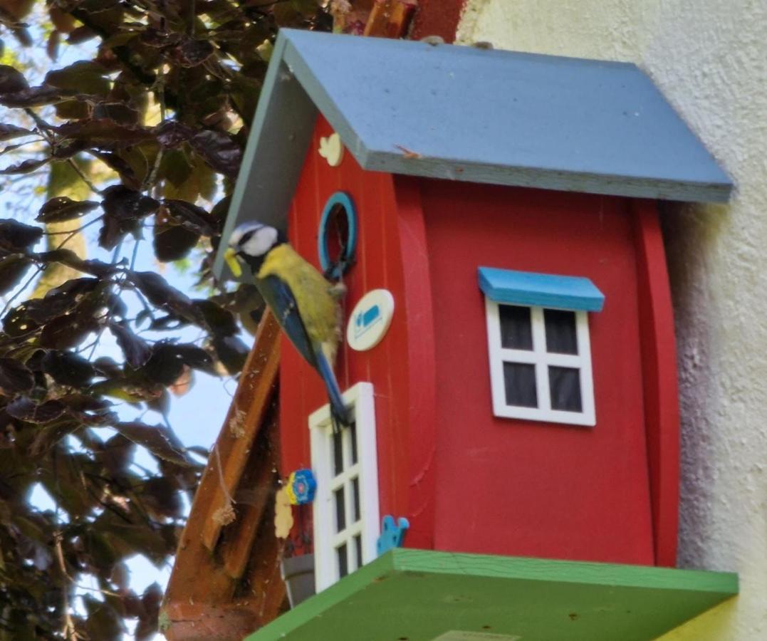 Vakantiewoning 'T Bakhuus Bergentheim Exterior foto