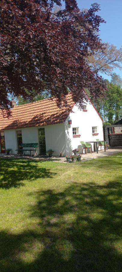 Vakantiewoning 'T Bakhuus Bergentheim Exterior foto