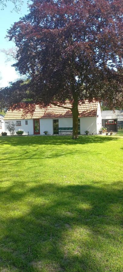 Vakantiewoning 'T Bakhuus Bergentheim Exterior foto